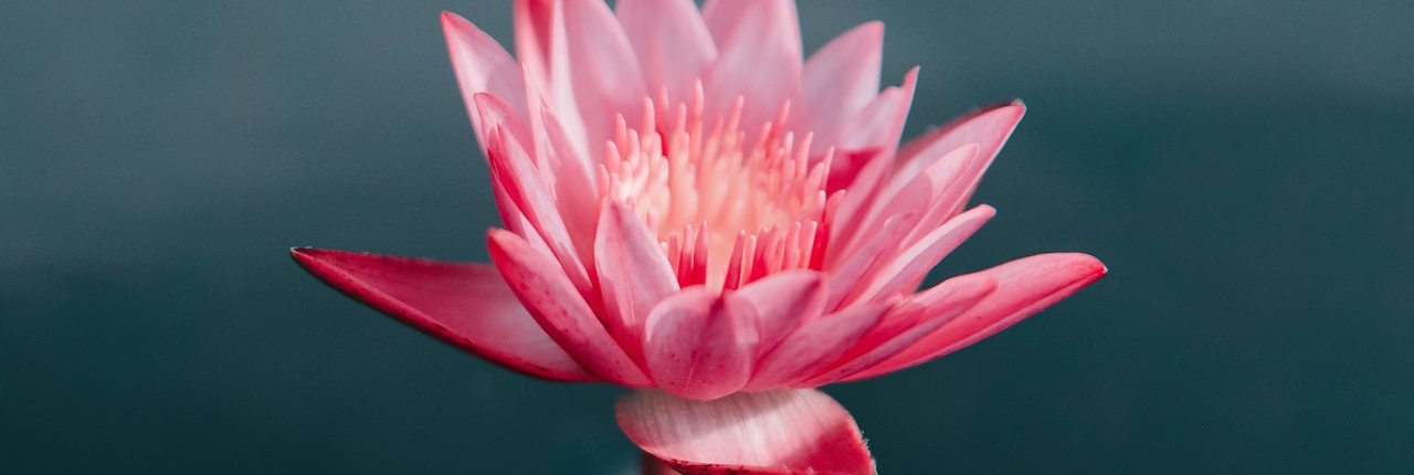 Shiatsu a Roma